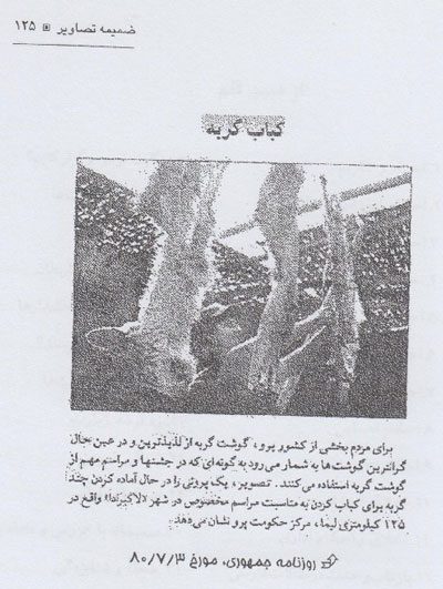 کباب گربه