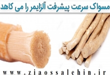  مسواک، سرعت پیشرفت آلزایمر را می کاهد